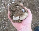 Поставка ПГС и ОПГС для застройщиков и девелоперов