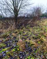 Участок 10с ИЖС, рядом река/лес