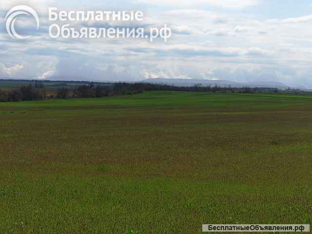 Земельный участок пригород Симферополя 8 га