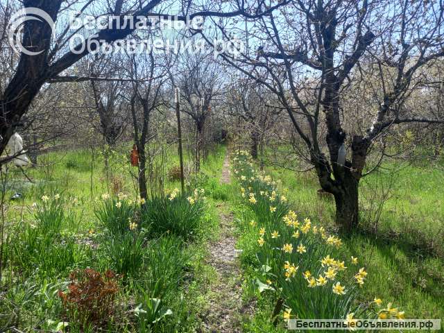 Участок в Живописном (Симферополь)