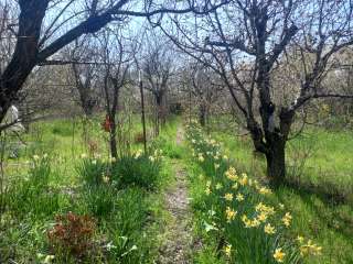 Участок в Живописном (Симферополь)