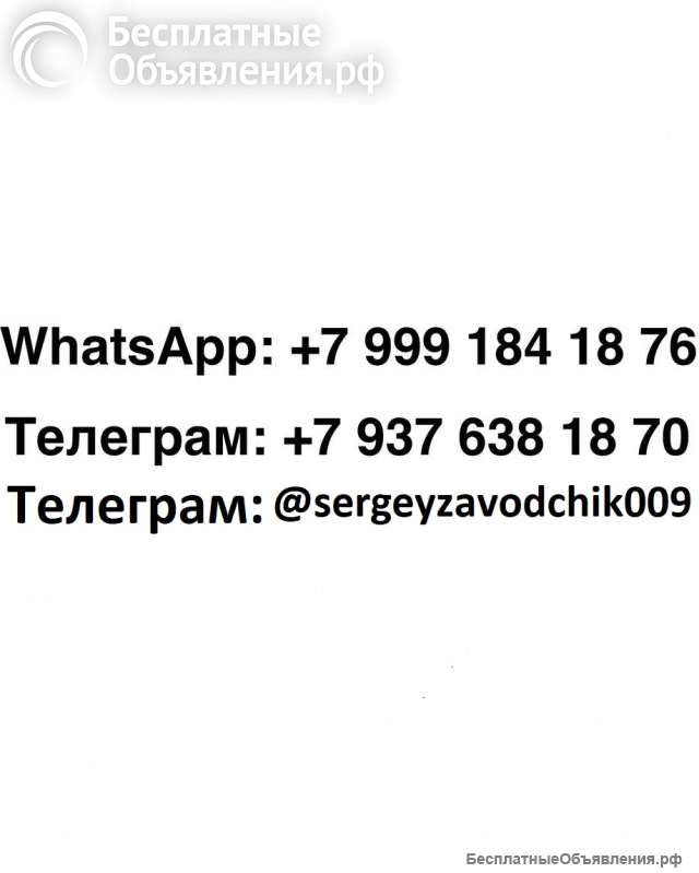 Щенки Джек Рассел терьер