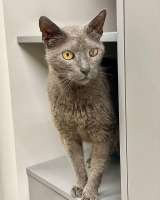 Гера ищет дом: доверчивое сердце, которое верит в людей вопреки всему