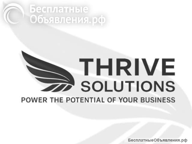 Thrive Marketing Solutions - глобальная маркетинговая компания полного цикла