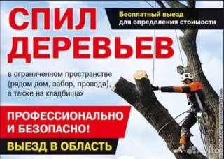 Спилим дерево на участке аккуратно Поможем спилить старое или аварийное дерево. Аккуратная разборка