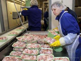 Упаковщик на птицефабрику (вахта)