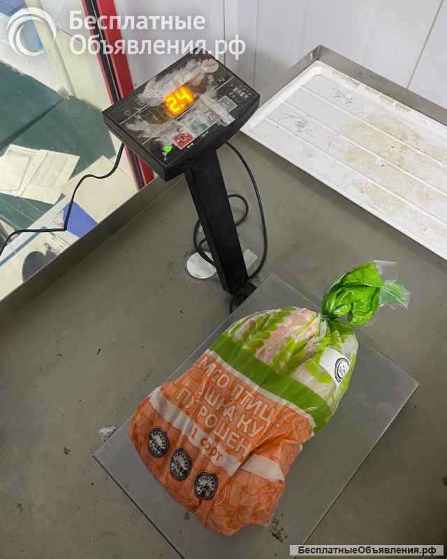 Курица Оптом от производителя