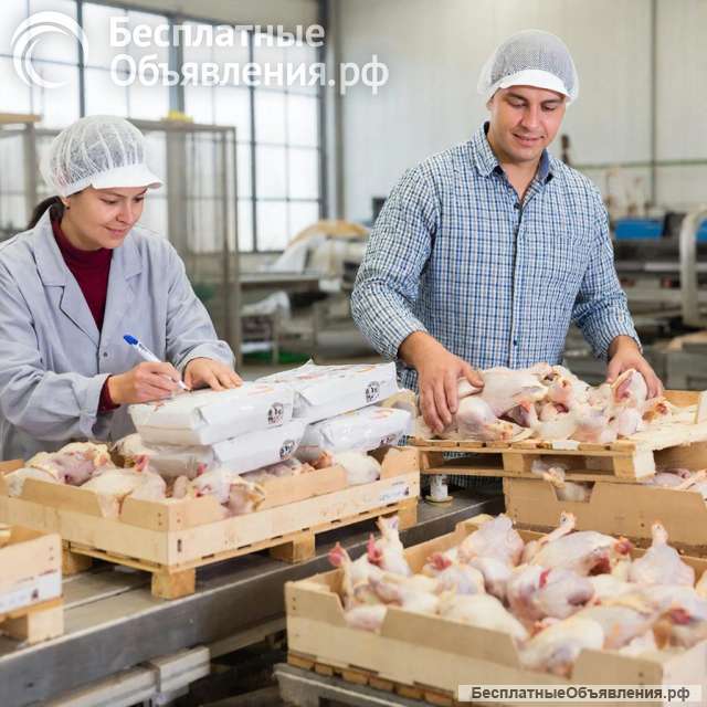 Упаковщики на птицефабрику