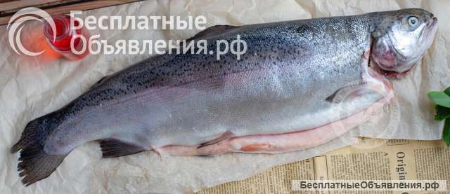 Форель потр с/г с/м