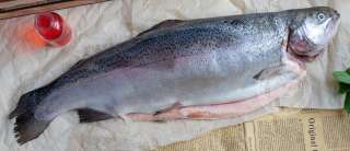 Форель потр с/г с/м