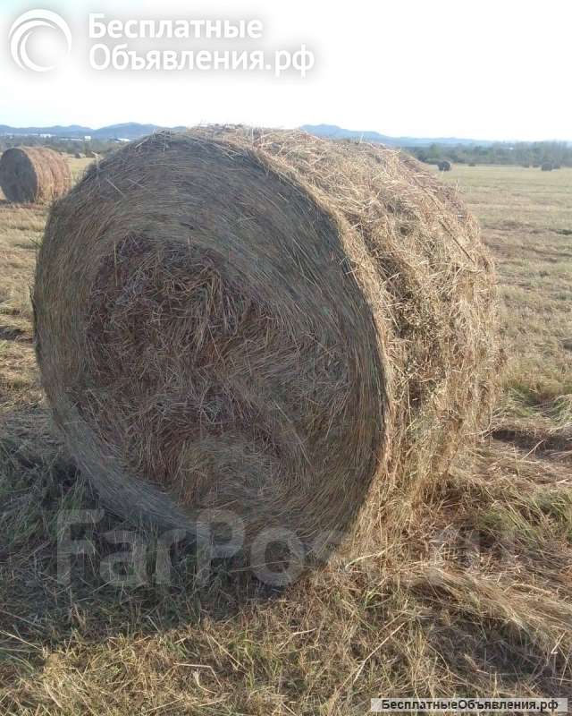 Сено в рулонах