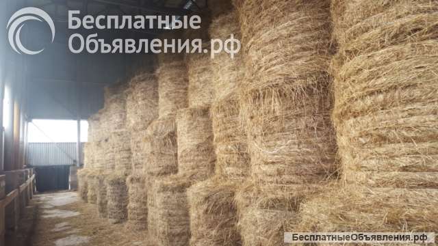 Сено в рулонах