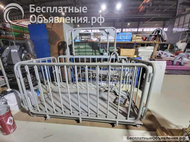 Весы для телят