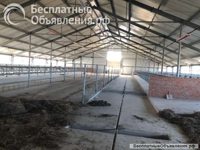 Система навозоудаления Joz