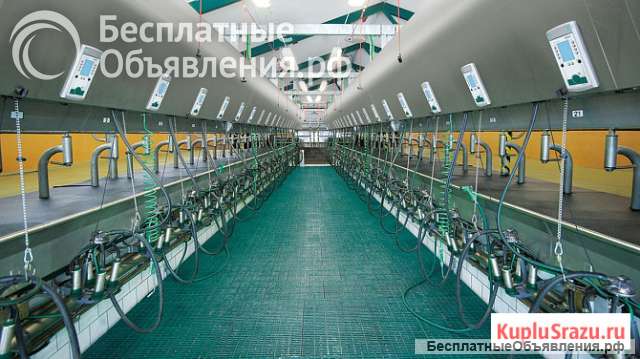 Доильный зал параллель GEA Westfalia