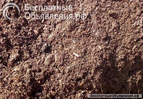 Перегной