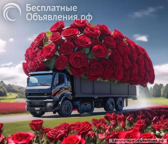 Стаканчики для рассады в теплице (станица Кривянская)