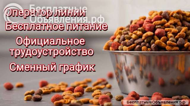 Оператор линии г. Новочеркасск