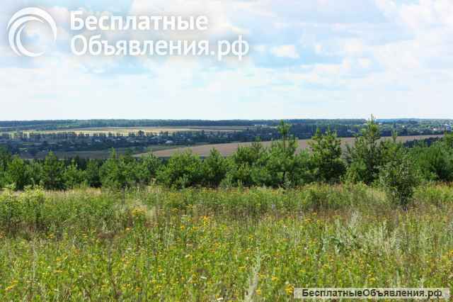 Земельные участки в поселке у реки Дон