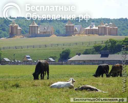 Земельные участки ИЖС в поселке у реки Дон