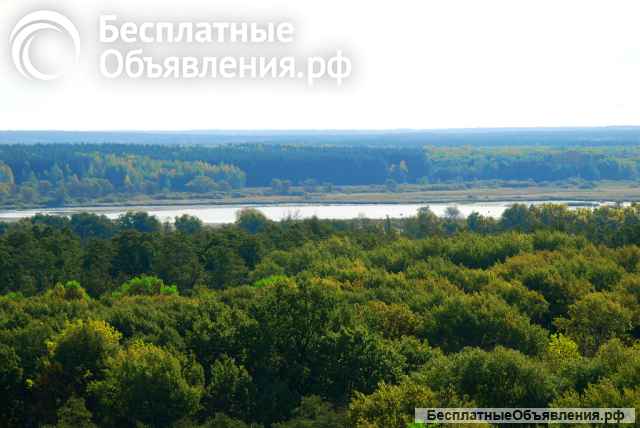 Земельные участки ИЖС в поселке у реки Воронеж