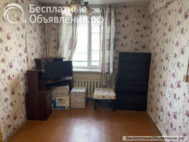 2 комн. кв. 51,8 кв. м, потолки 3,2 м, теплая и сухая.