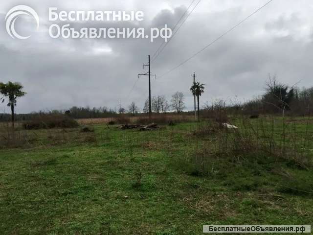 Готовый бизнес в Абхазии