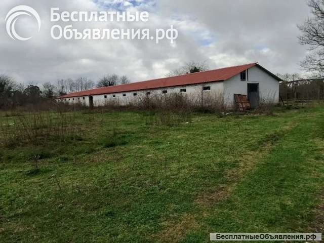 Готовый бизнес в Абхазии