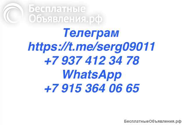 Щенки самоеда