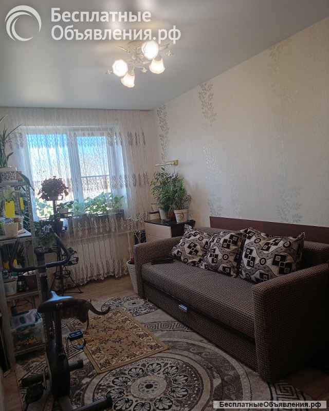 Хорошая трешка в Ногинском районе