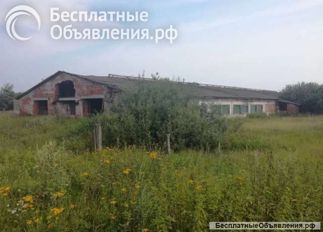 Ферма колхоз сельскохозяйственный
