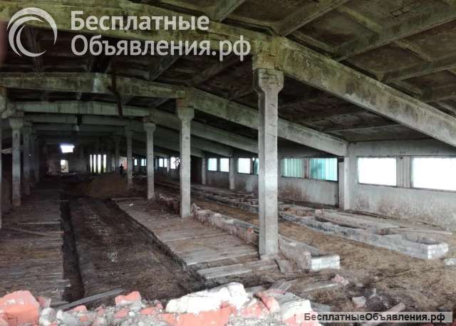 Ферма колхоз сельскохозяйственный