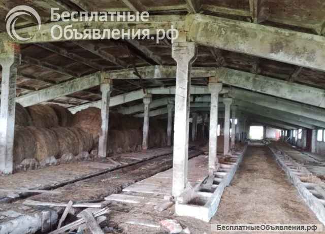 Ферма колхоз сельскохозяйственный