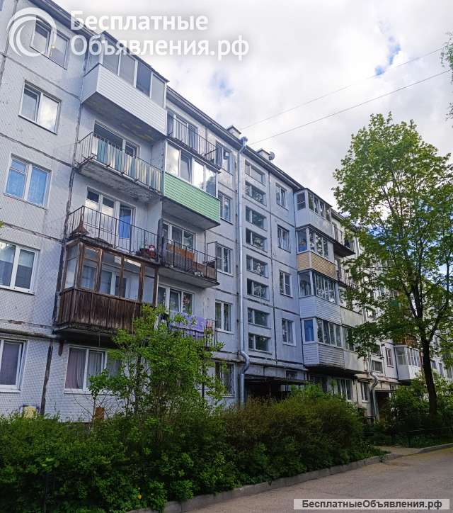 В Гатчине 2кв-44м/изолированы