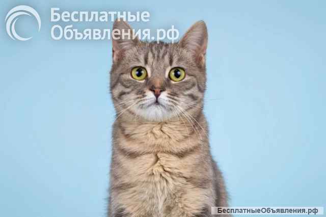 Очаровательная Мишель ищет дом