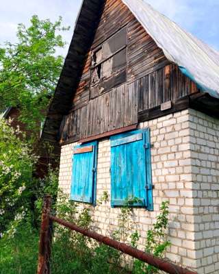 Дачу у леса