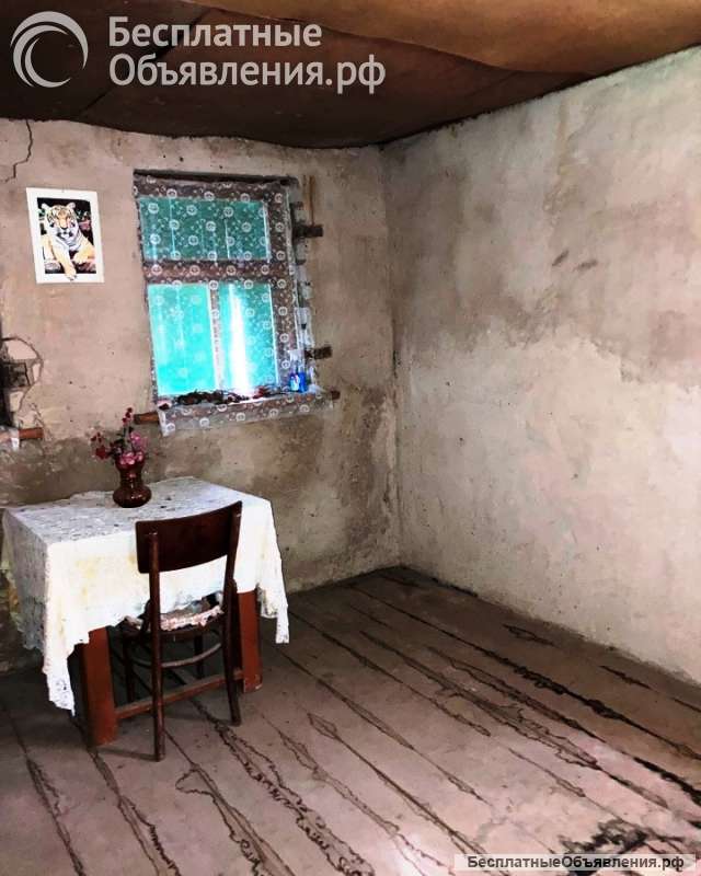 Дачу у леса