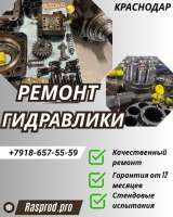 Ремонт гидронасоса D-89275 Elchingen