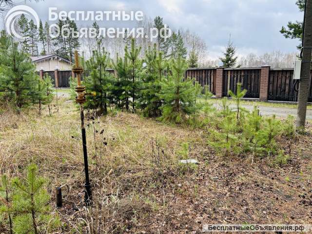 Земельный участок у леса