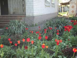 Дом кирпичный 2х этажный обменяю на г. Москва или продам