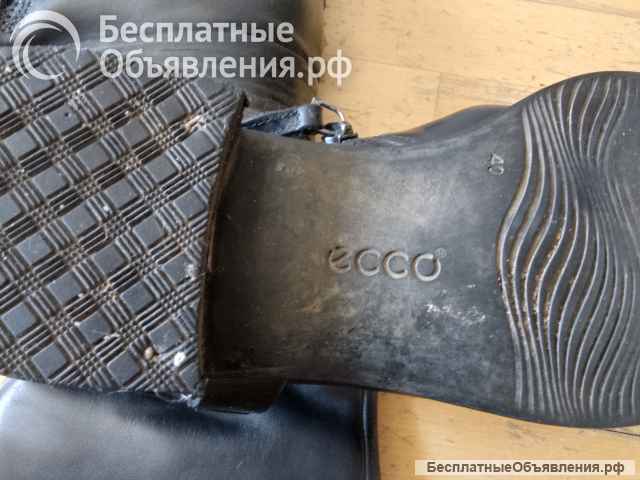 Демисезонные сапоги