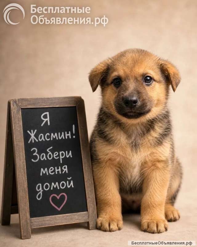 Очаровательная Жасмин ищет дом