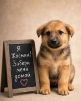 Очаровательная Жасмин ищет дом