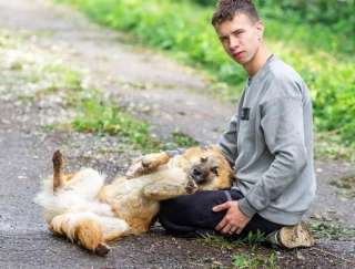 Умница и добряк Микки ищет дом