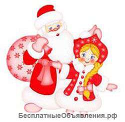 Настоящий дедушка Мороз и Снегурочка едут к Вам
