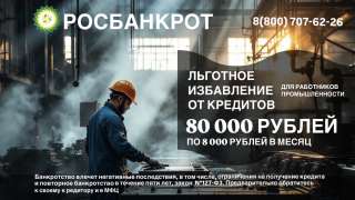 Банкротство граждан в суде и МФЦ