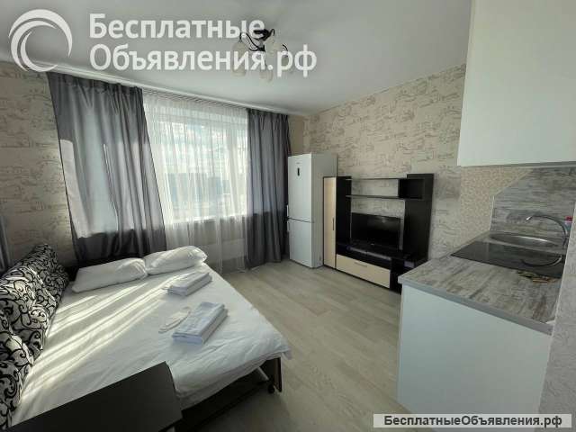 ColorApartments. Городские сирени