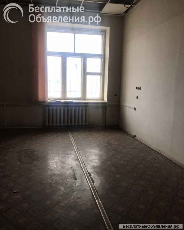 ПСН 275,8 кв.м. этаж 2