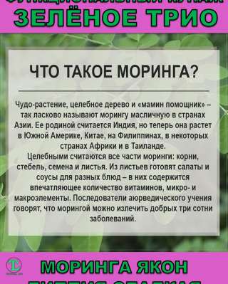 Функциональный купаж Зелёное Трио. Моринга, Якон, Липпия сладкая