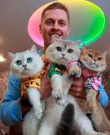 Милые, котята, кошки, ручные, добрые, ласковые